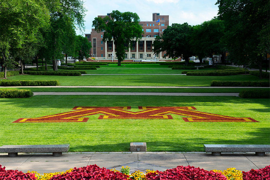 university of minnesota phd international education